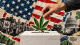 cannabis elections